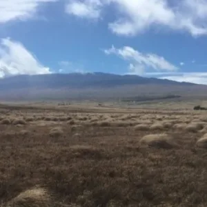 Private volcano tour exploring Big Island's volcanic regions