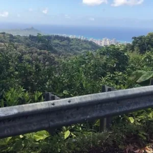 Scenic jungle hike through lush tropical forest trails