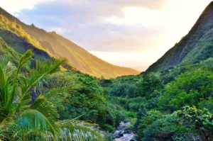 ‘Iao Valley Excursion