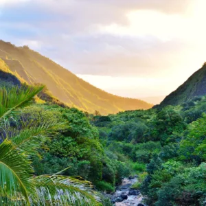 Scenic view of lush Iao Valley greenery
