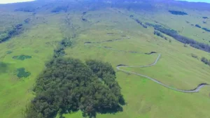 Haleakala Upcountry Double Downhill Bike Tour
