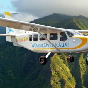 Air van transporting guests to whale watching spots