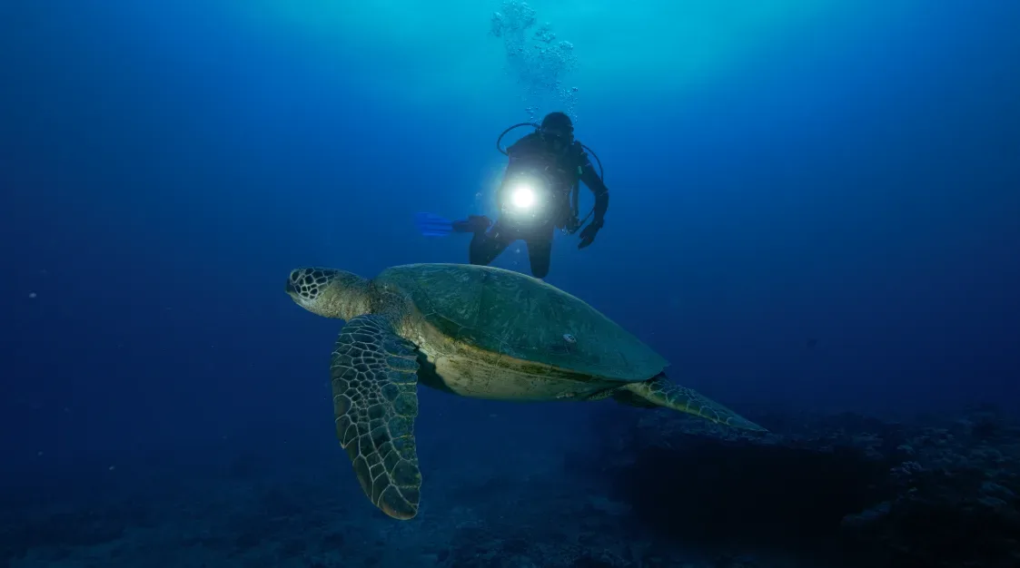 Scuba diver learning specialty skills underwater