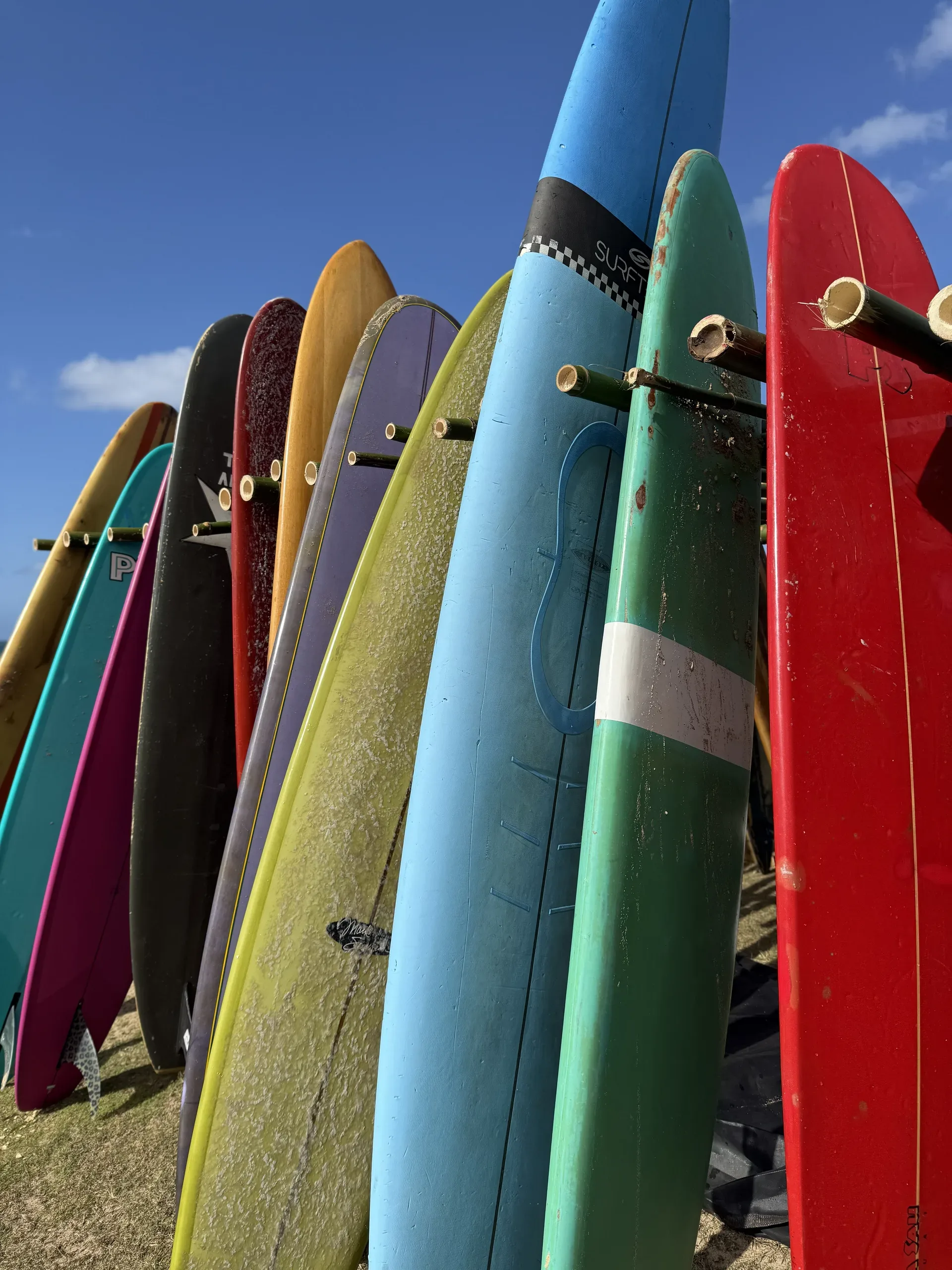 Paddleboard rental on calm Kauai island waters