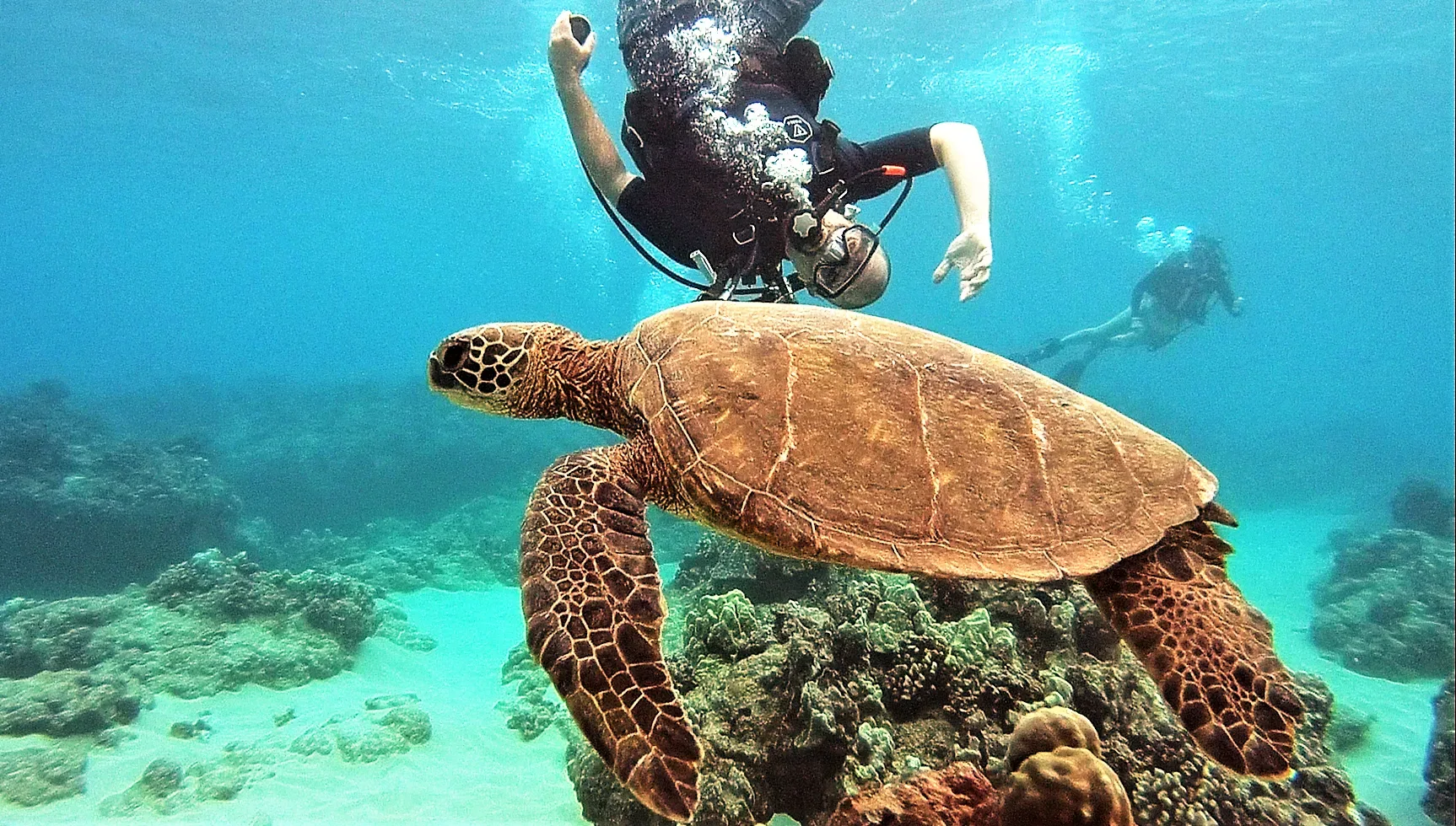 Beginner scuba diving certification with PADI Open Water
