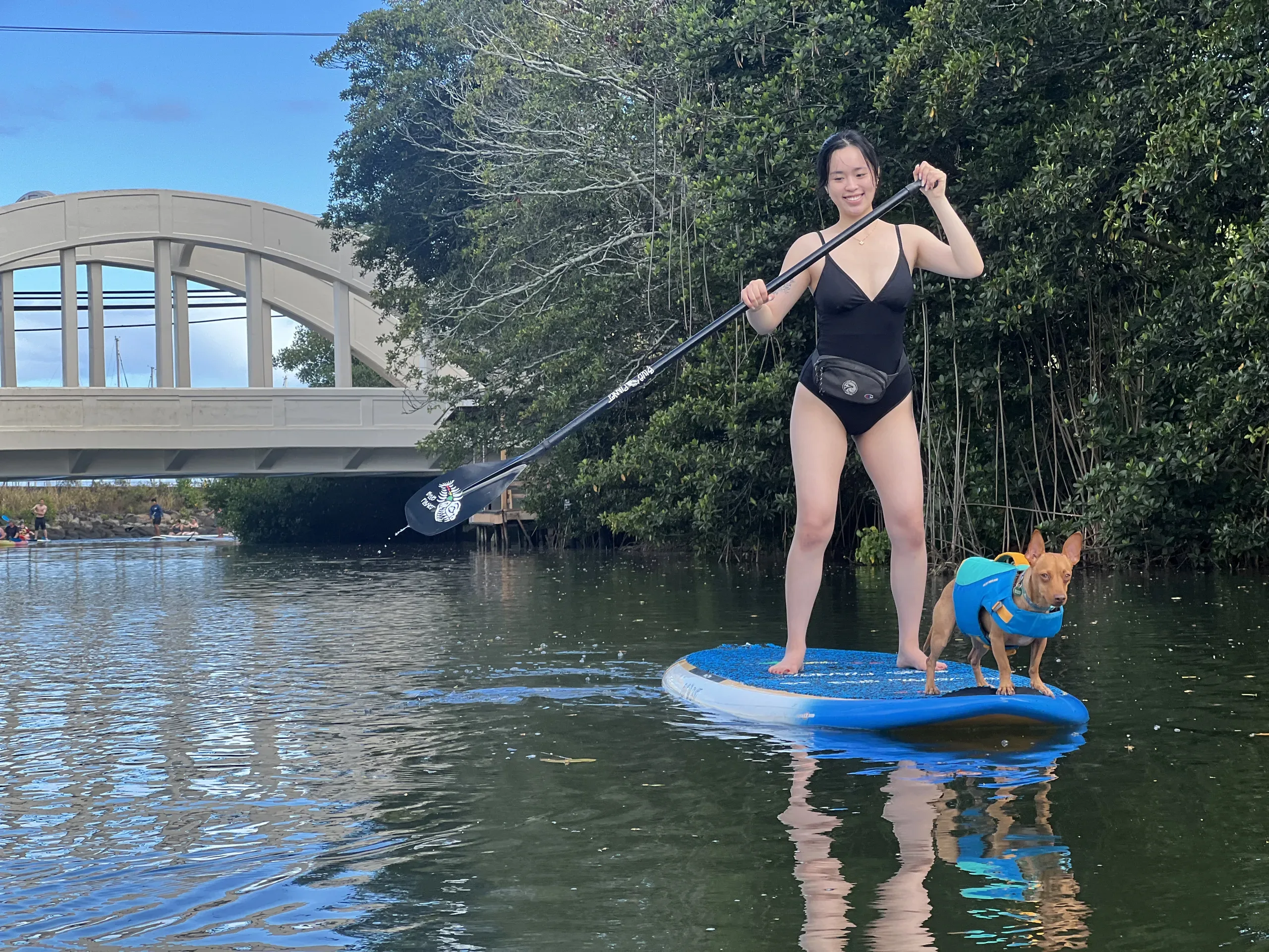 Dog standing on paddleboard during SUPDog experience