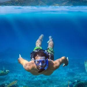 Snorkelers exploring vibrant coral reefs on Waikiki tour
