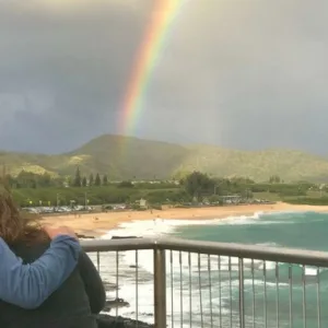 Six hour transfer tour for first or last day in Oahu