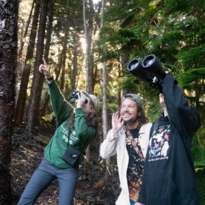 Early morning guided birdwatching tour on Thursdays and Saturdays