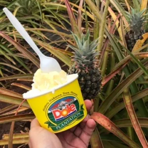 Tourists tasting local food on North Shore adventure