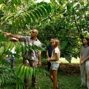 Hands-on farm and food experience at Common Ground Farm