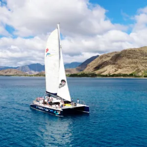 Midday catamaran sail with snorkeling in crystal clear waters