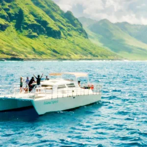Private cruise boat sailing with passengers watching dolphins