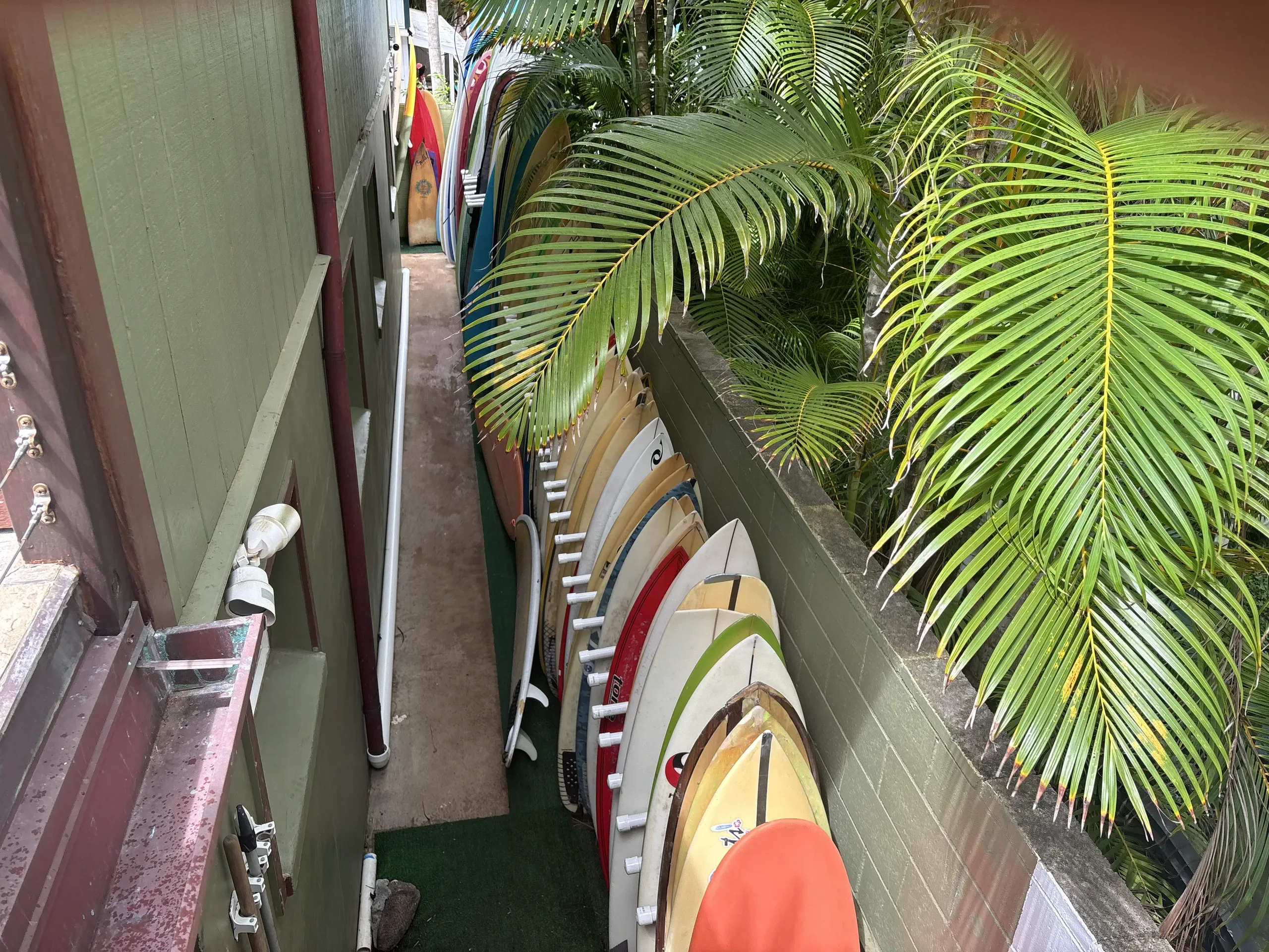 Surf camp experience on the famous North Shore beaches