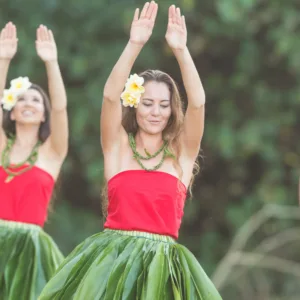 Private group transportation to traditional Oahu luau event
