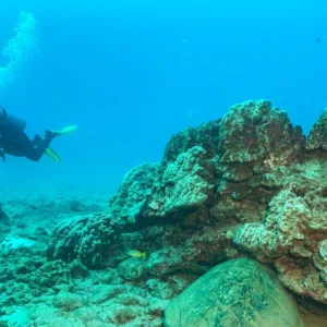 Solo tank ready for shore dive at Koloa Landing