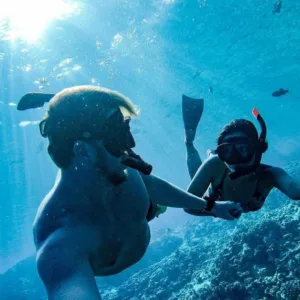 Enjoy snorkeling with turtles and whale watching on Eco-Raft