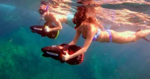 Private Snorkeling Tour Turtle Town with Photos and Video