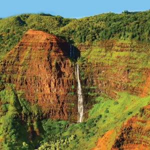 Hikers admiring scenic views of Waimea Canyon in Kauai