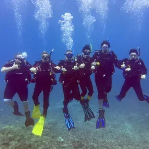 Scuba diver exploring colorful coral reefs underwater
