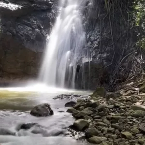 Hikers trekking along a lush waterfall trail surrounded by greenery
