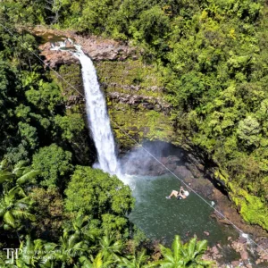 Exciting zipline adventure through lush tropical landscapes