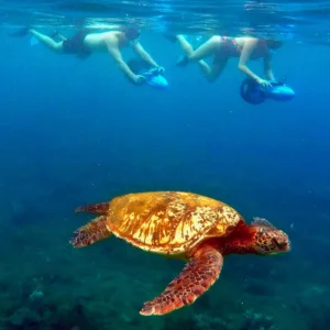 Couple snorkeling with GoPro at Wailea Beach