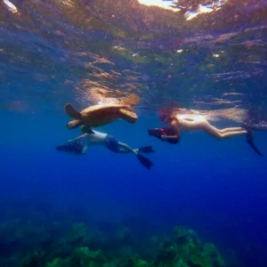 Explore Turtle Town snorkeling with sea scooter and GoPro