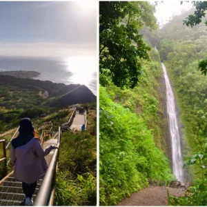 Small group hiking through lush Hawaiian forest trails