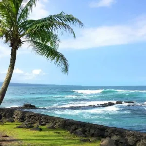 Snorkel at Sea Turtle Lagoon and relax on a black sand beach