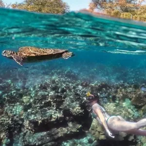 Snorkelers enjoying vibrant coral reefs in Pawai Bay