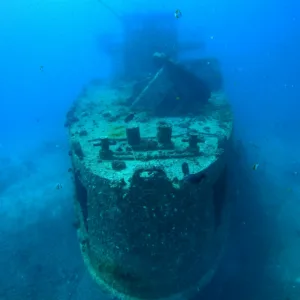 Scuba diving tour exploring shipwrecks and coral reefs