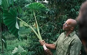 Visitors exploring a regenerative farm field