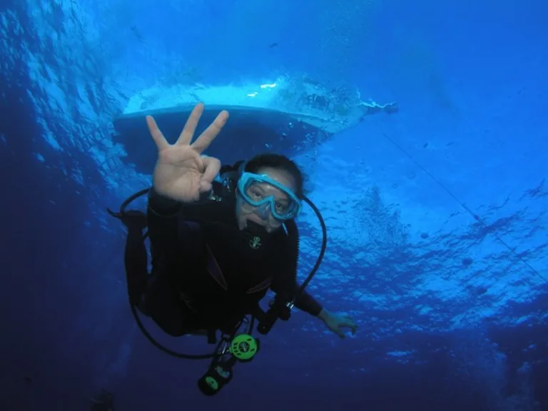 Refresher Course & Reef Dive - Kaanapali