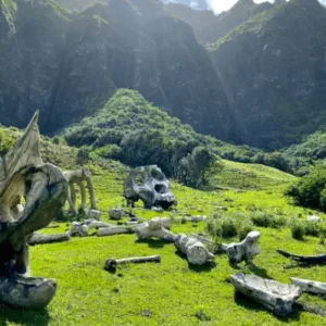 Tour group visiting famous movie filming location
