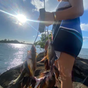 Fishing experience targeting invasive ocean fish species