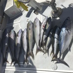 Fishing boat preparing for deep sea charter
