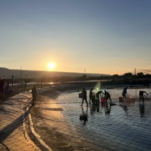 Guests walking alongside shrimp farm ponds