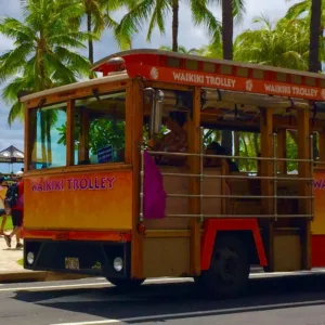 Unlimited hop on hop off trolley pass in Waikiki