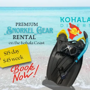 Two day rental premium snorkel gear set