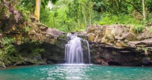 Waterfall & Rainforest Hiking Adventure • South Maui Hotel Transfers