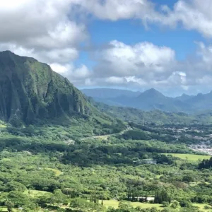 Scenic drive past famous North Shore surf beaches