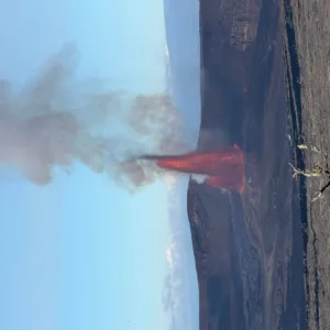 Day tour exploring East Hawaii nature and culture