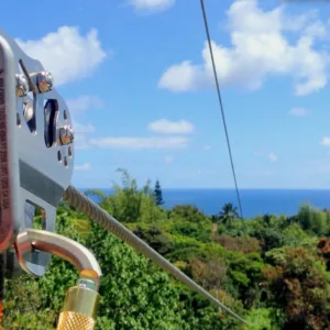 Thrilling zipline tour through Maui’s lush rainforest canopy