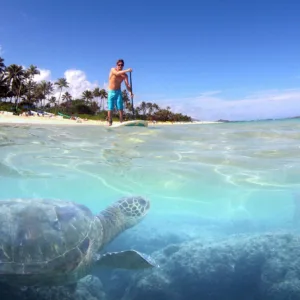 Self guided stand up paddleboarding on calm freshwater stream
