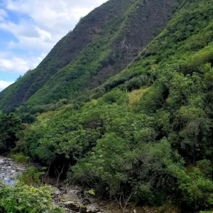 Scenic view of Maui island with diverse seasonal colors