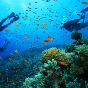 Advanced Open Water Certification