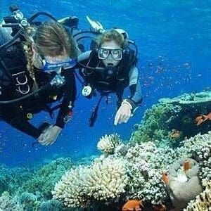 Open Water Certification Checkout Dives