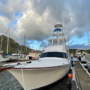Shared Luxury Charter on 47ft Vessel 'KU'ULU KAI' Bathroom & A/C