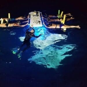 Manta Ray Night Snorkel